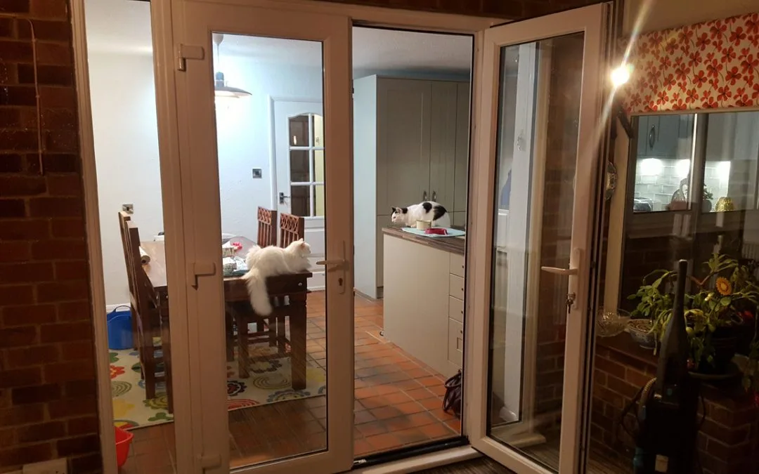 Как обслуживать межкомнатные металлопластиковые двери