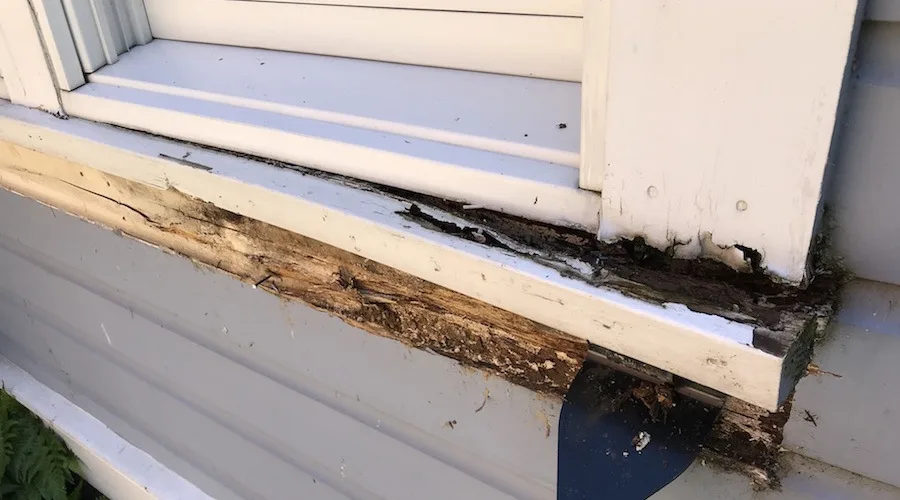 Признаки того, что ваши оконные рамы гниют
