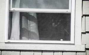 Полный гид по уходу, ремонту и замене оконных конструкций в доме